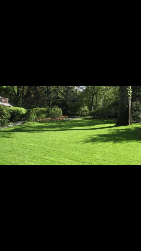Professional garden landscaping experts serving Kerrville, TX - Another Hand Lawn & Leaf Service