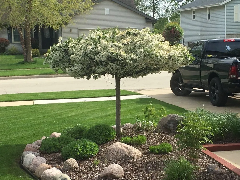 Reliable yard cleanup service in Machesney Park, IL - Another Johnson Creative Landscape