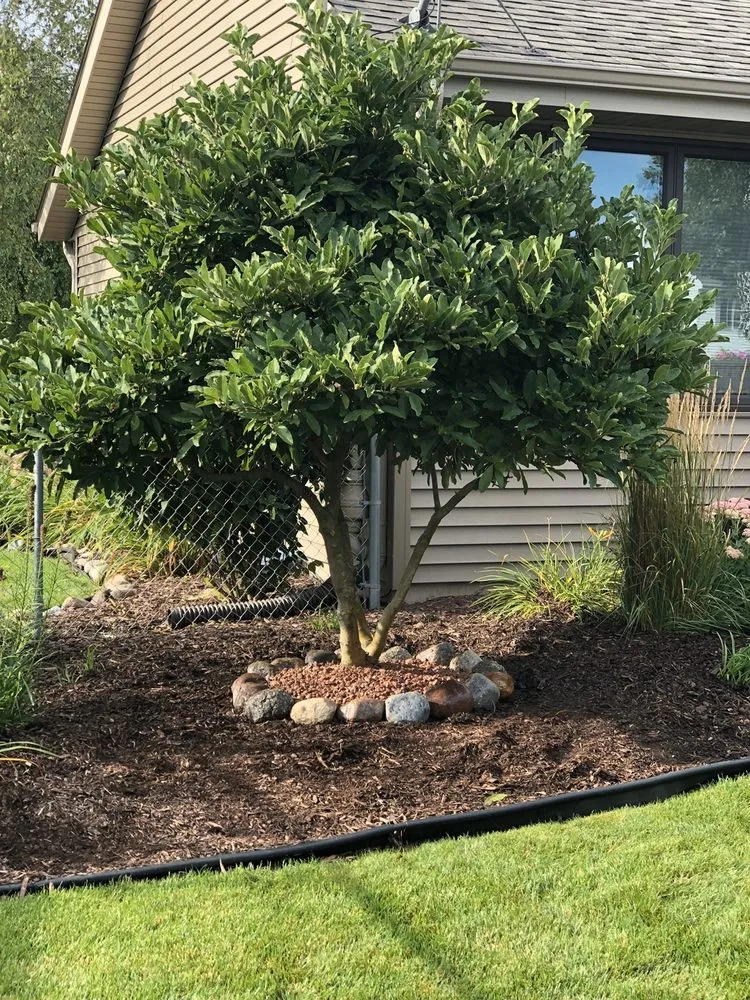 Trusted lawn care service near you across Machesney Park, IL - Another Johnson Creative Landscape