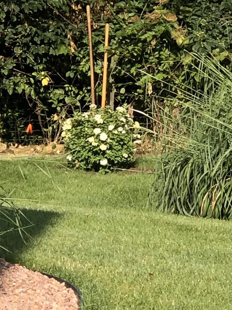 Top-rated lawn mowing service for year-round maintenance across Machesney Park, IL - Another Johnson Creative Landscape