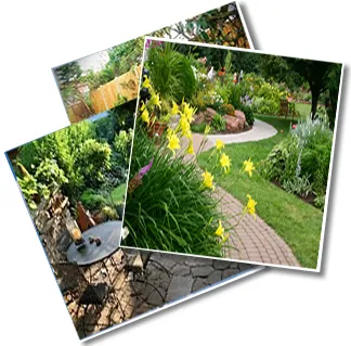 Affordable landscape design near you across Brunswick, GA - Another Landscape