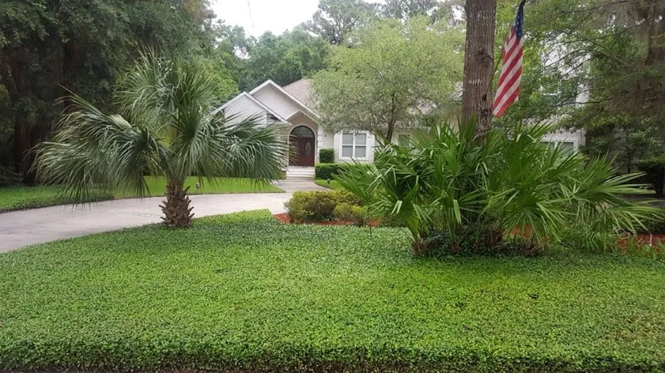 Professional residential landscaping experts serving Brunswick, GA - Another Landscape