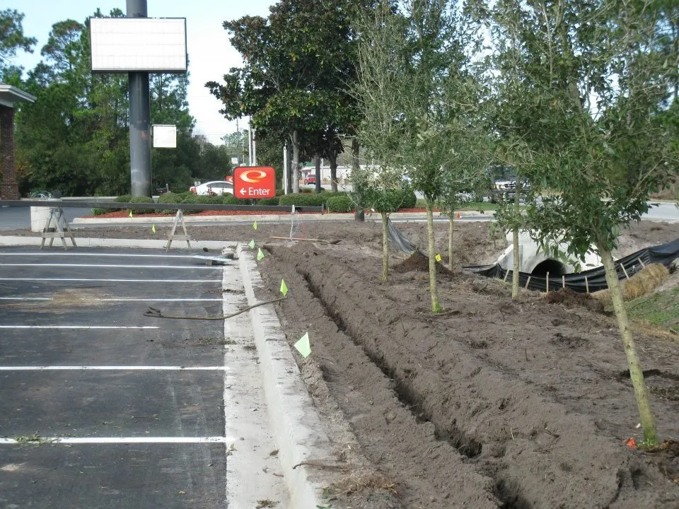 Top-rated outdoor landscaping experts serving Brunswick, GA - Another Landscape