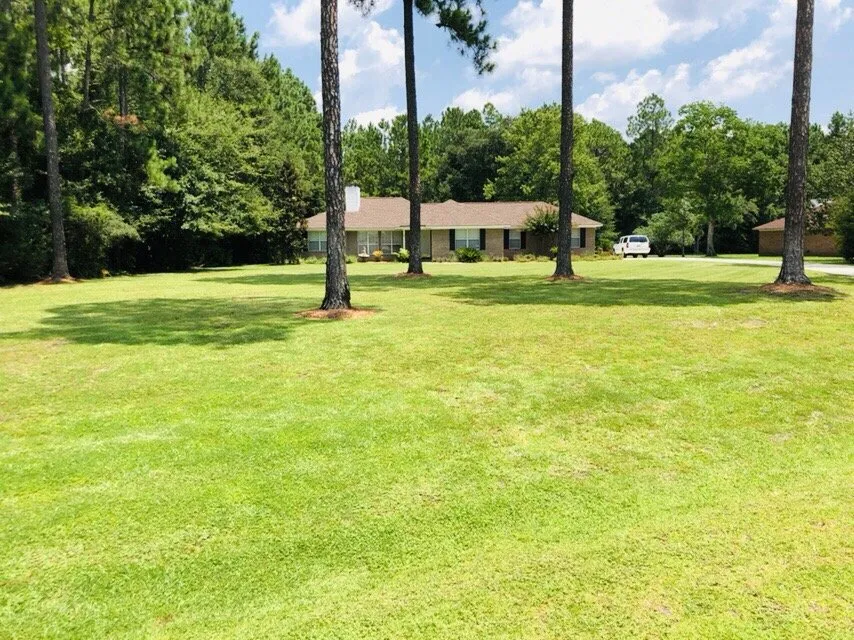 Local yard maintenance experts serving Brunswick, GA - Another Landscape