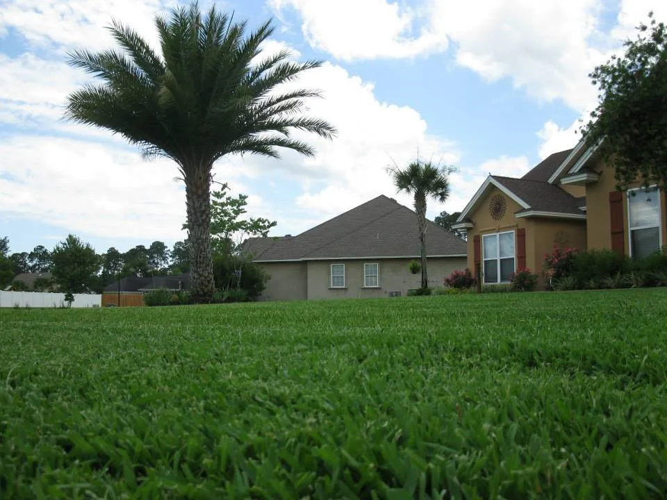 Expert garden landscaping experts serving Brunswick, GA - Another Landscape