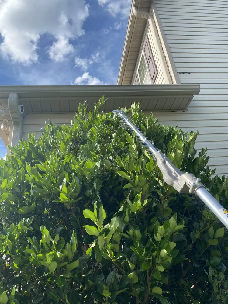 Expert landscape installation experts serving Columbia, SC - Another Landscaping Company