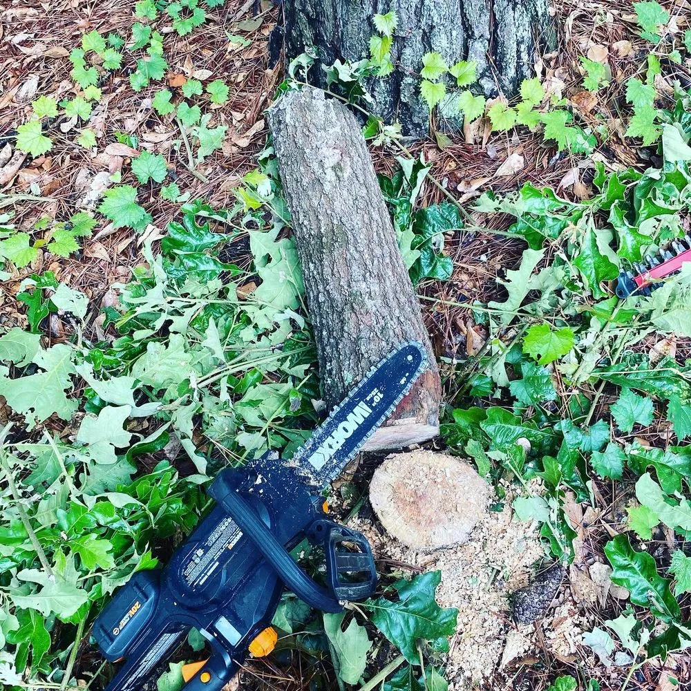 Trusted outdoor landscaping in Columbia, SC by Another Landscaping Company