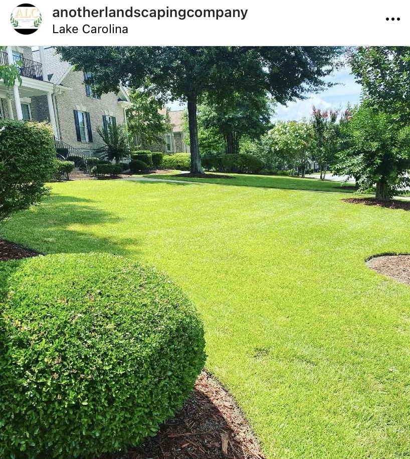Professional yard maintenance for beautiful yards in Columbia, SC by Another Landscaping Company