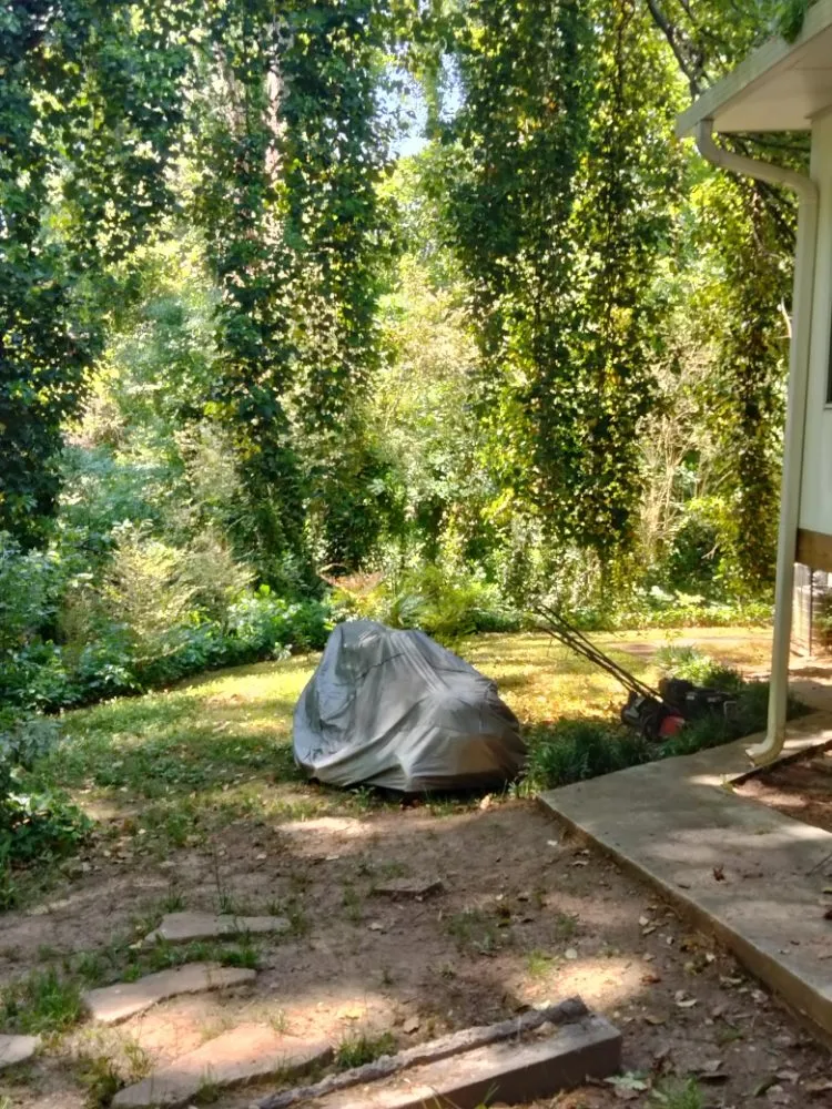 Custom lawn care service near you in Atlanta, GA by Another Unique Creation