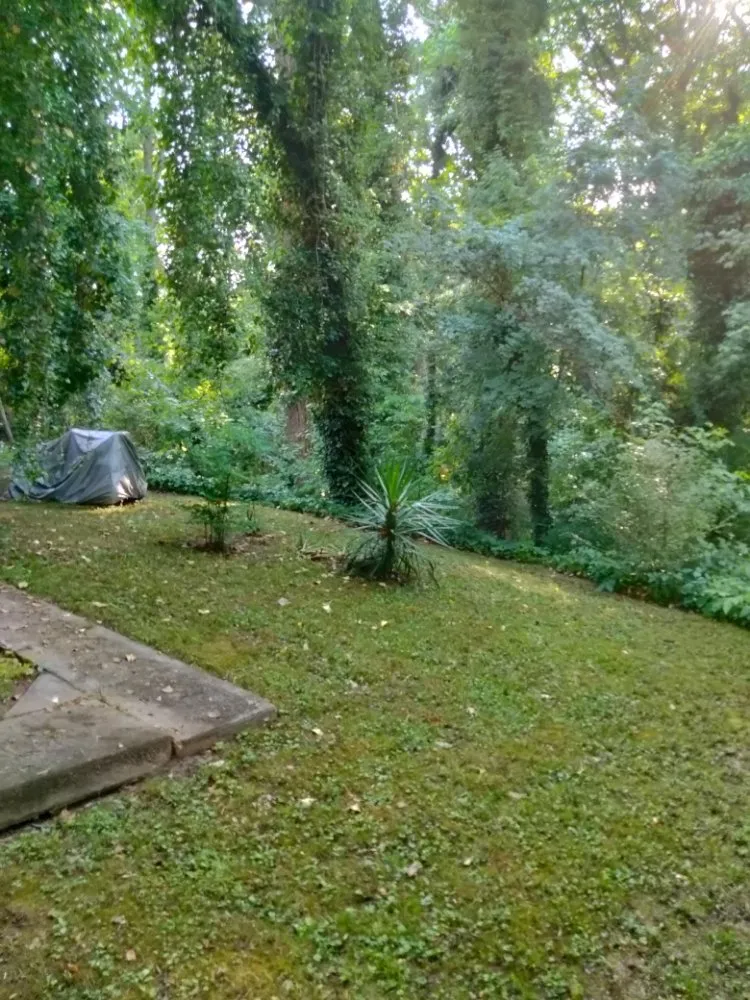 Affordable outdoor landscaping in Atlanta, GA by Another Unique Creation