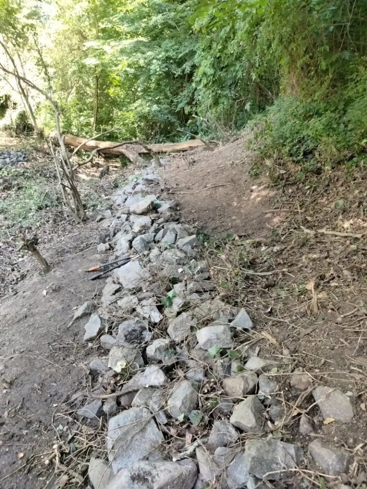 Expert outdoor landscaping for outdoor upgrades in Atlanta, GA by Another Unique Creation