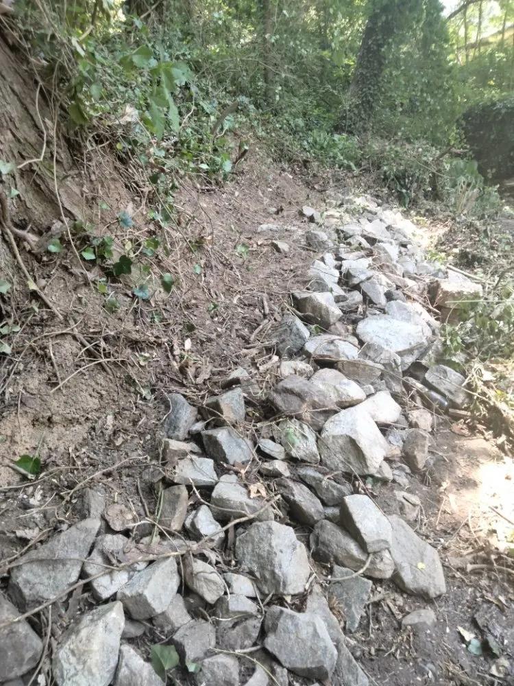 Top-rated yard cleanup service experts serving Atlanta, GA - Another Unique Creation