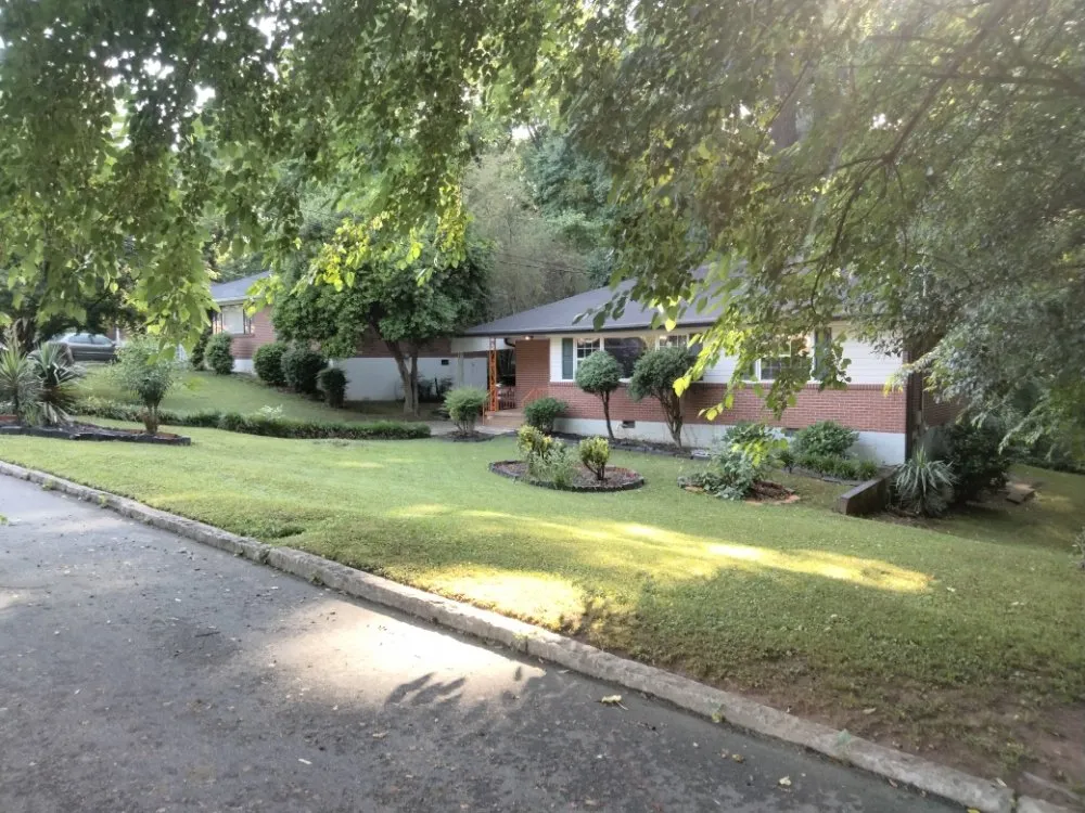 Professional yard cleanup service in Atlanta, GA by Another Unique Creation