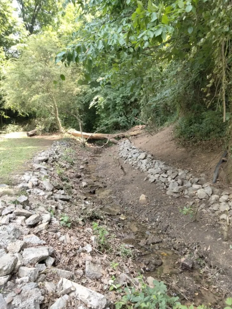 Expert lawn mowing service in College Park, GA by Another Unique Creation