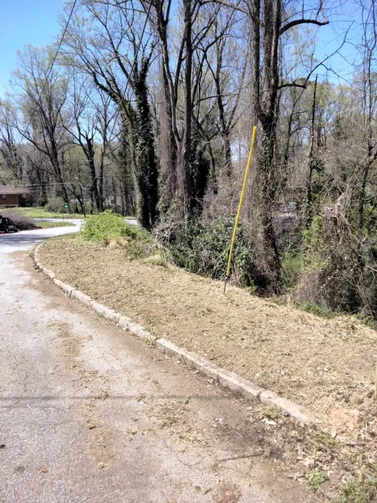 Affordable lawn care service for residential properties across College Park, GA - Another Unique Creation