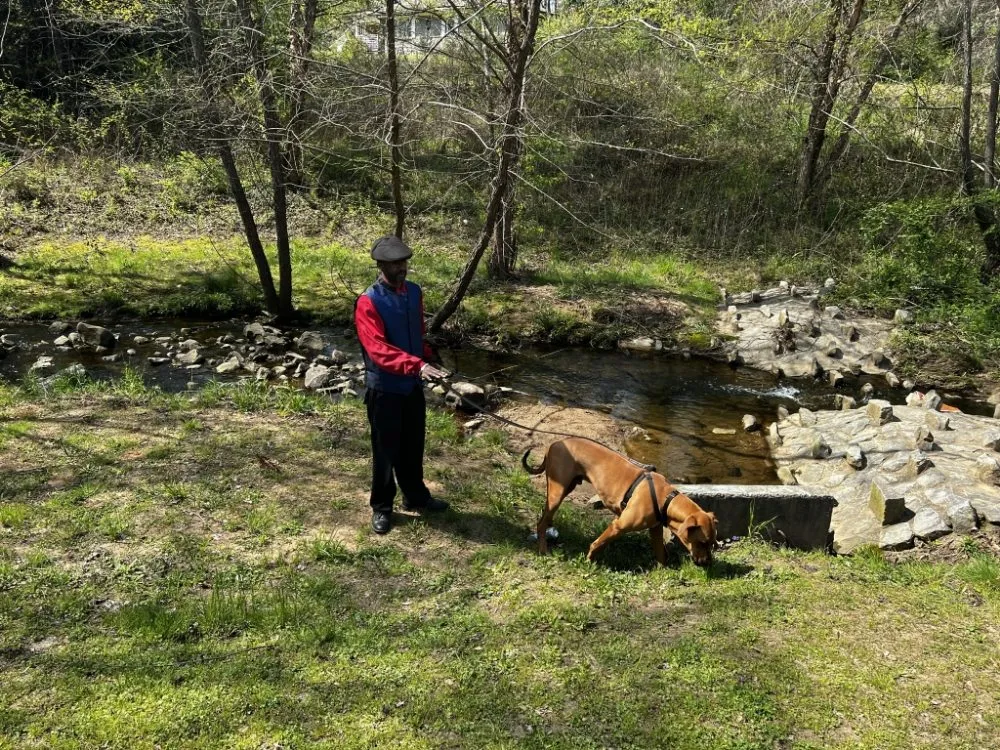 Expert lawn mowing service with custom design across College Park, GA - Another Unique Creation