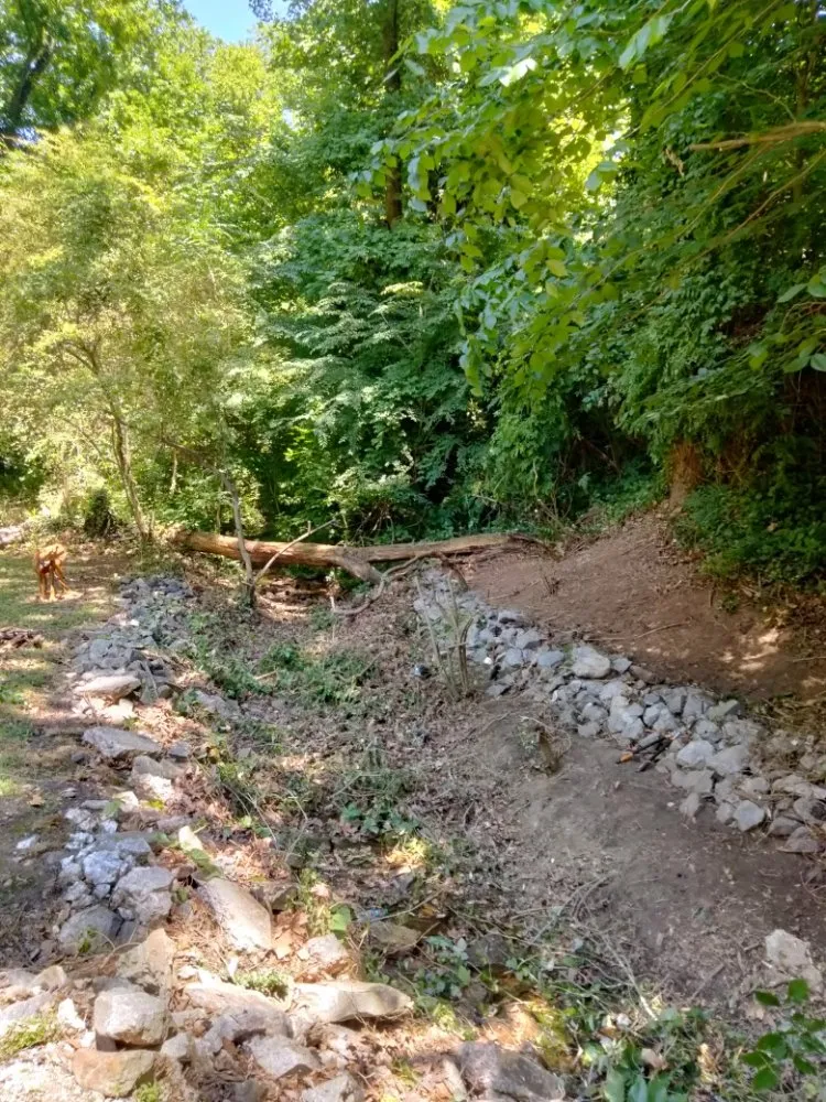 Professional lawn mowing service with custom design in College Park, GA by Another Unique Creation