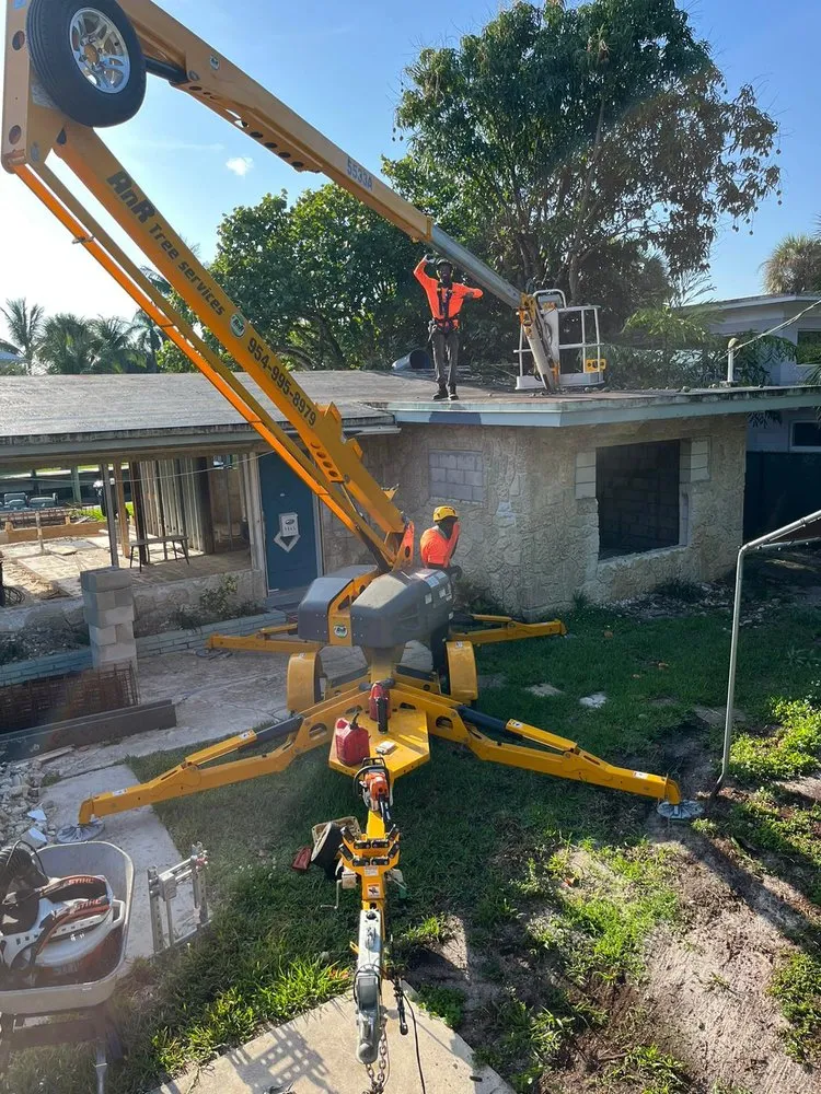 Expert yard cleanup service in Fort Lauderdale, FL - AnR Landscaping