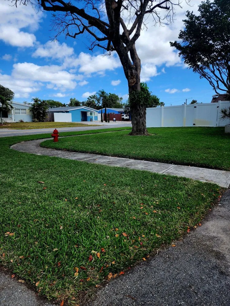 Custom garden landscaping in Fort Lauderdale, FL by AnR Landscaping