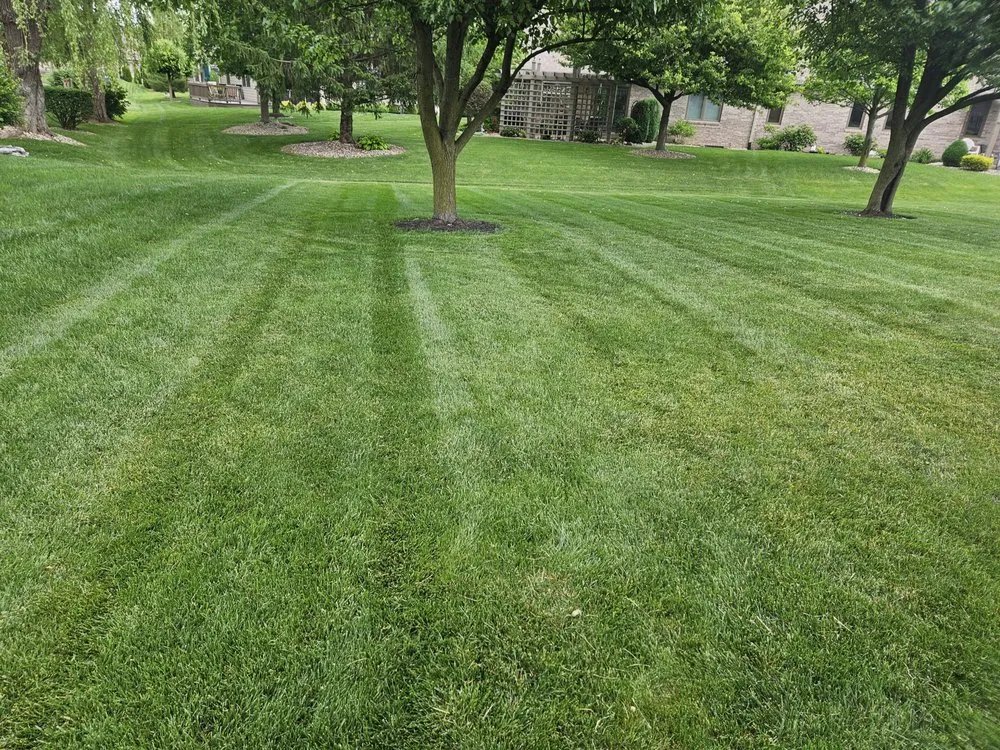 Trusted landscaping services in Martinsville, IN by ANR Landscaping