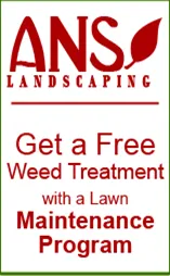 Affordable garden landscaping with custom design in Randallstown, MD by ANS Landscaping