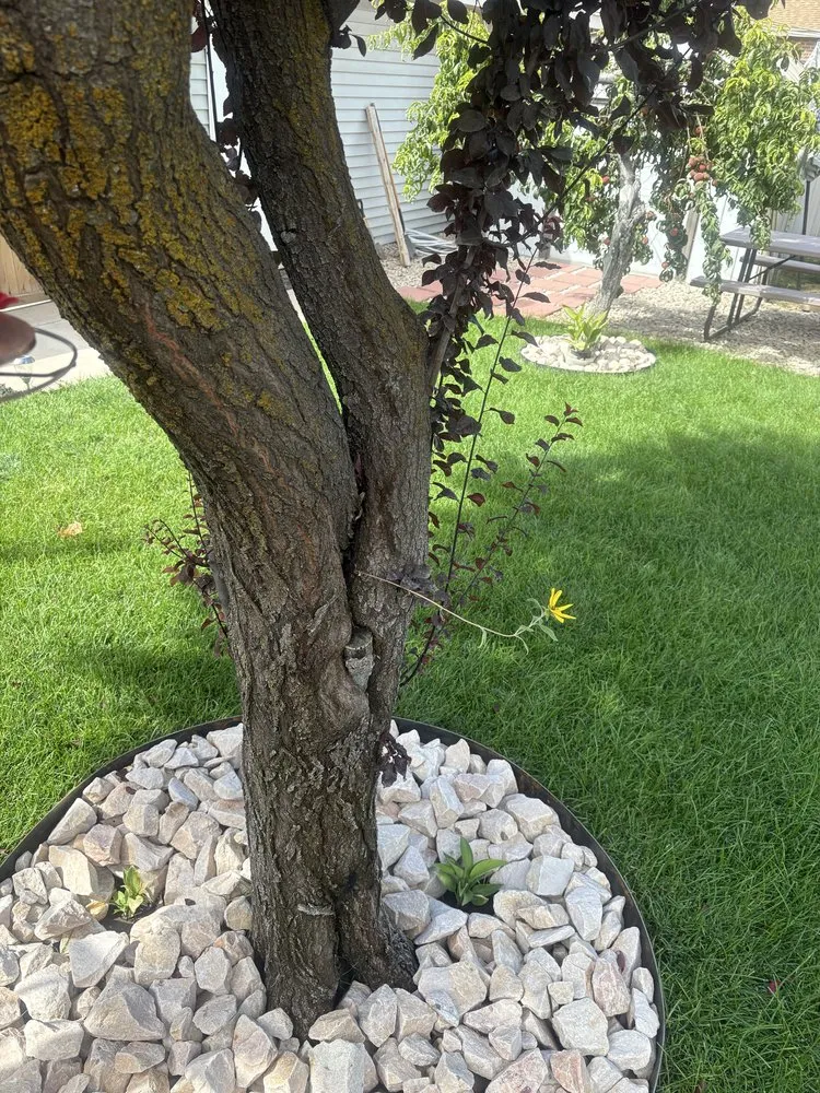 Reliable landscaping services in Clearfield, UT by Ansell’s sprinkler landscape
