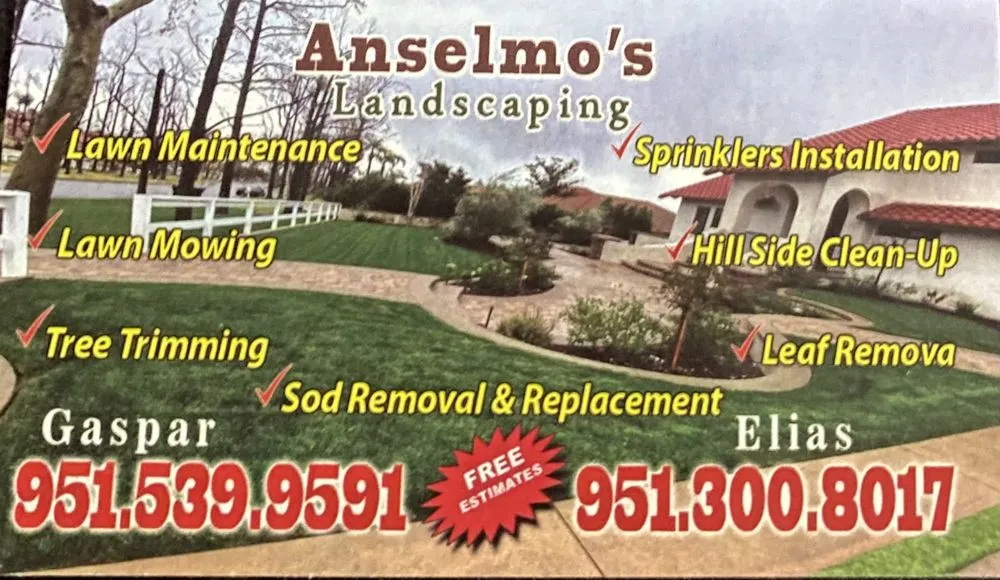 Local yard maintenance in Bloomington, CA by Anselmo’s Landscaping