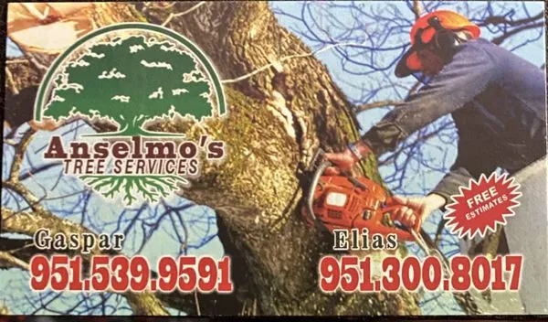 Anselmo’s Landscaping