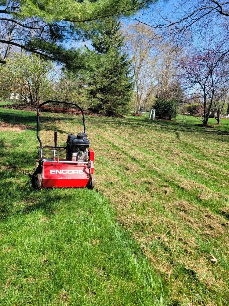 Affordable landscaping services near you across Elgin, IL - ANSON Landscape