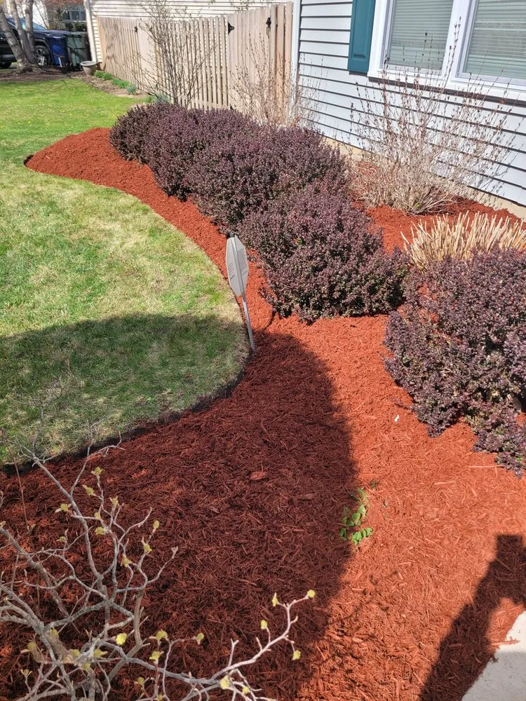 Expert yard cleanup service with custom design in Elgin, IL by ANSON Landscape