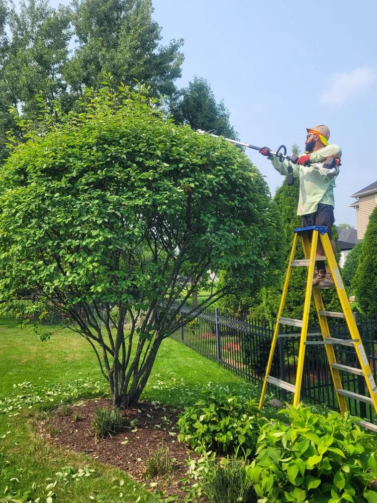 Professional lawn mowing service in Elgin, IL by ANSON Landscape