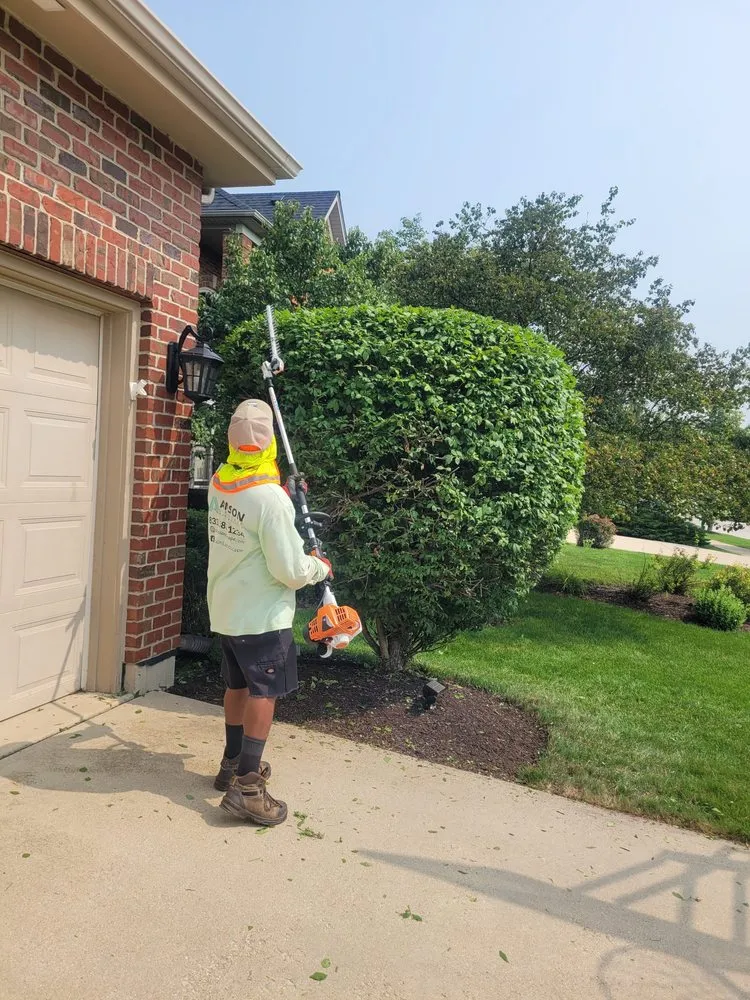 Professional landscaping services for outdoor upgrades in Elgin, IL by ANSON Landscape