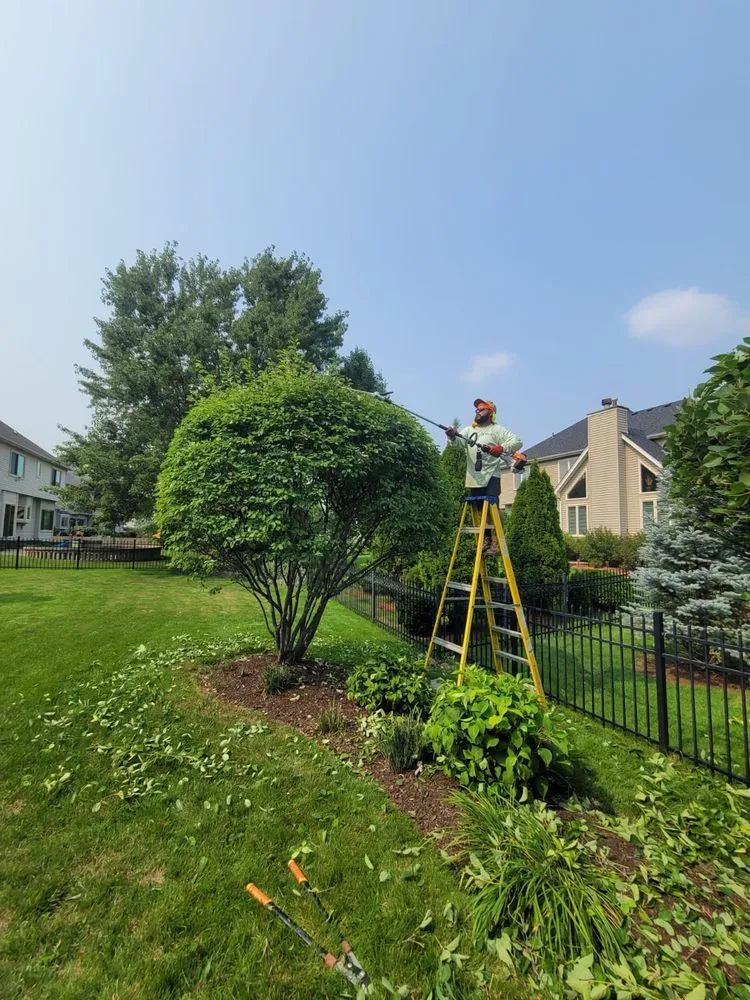 Affordable residential landscaping for year-round maintenance in Elgin, IL by ANSON Landscape