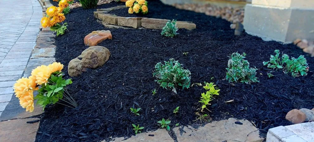 Affordable residential landscaping in Spring, TX - ANT Landscaping