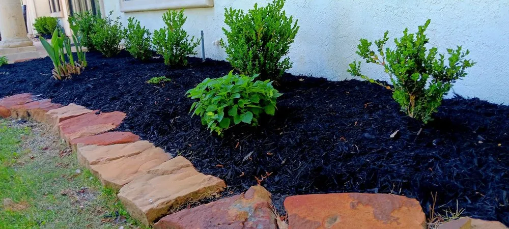 Trusted lawn care service in Spring, TX by ANT Landscaping