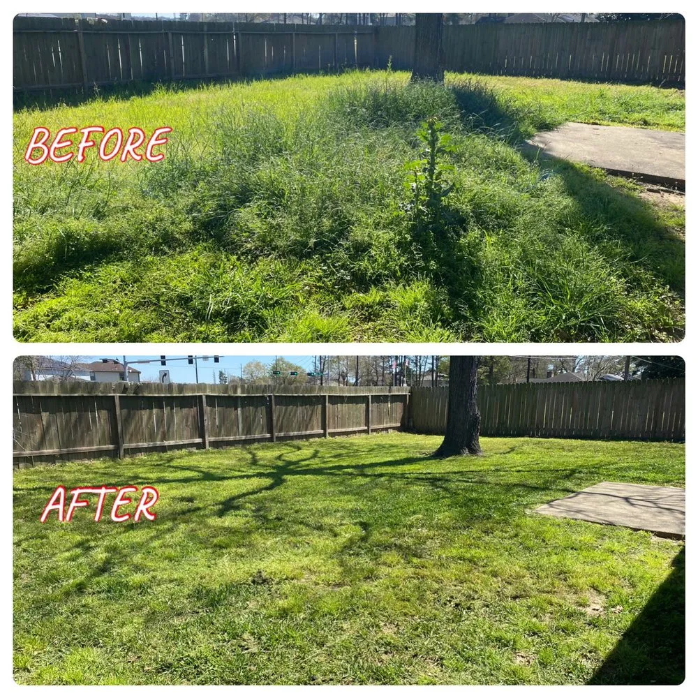 Affordable landscape design experts serving Spring, TX - ANT Landscaping