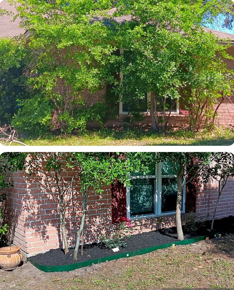 Local landscaping services in Spring, TX - ANT Landscaping