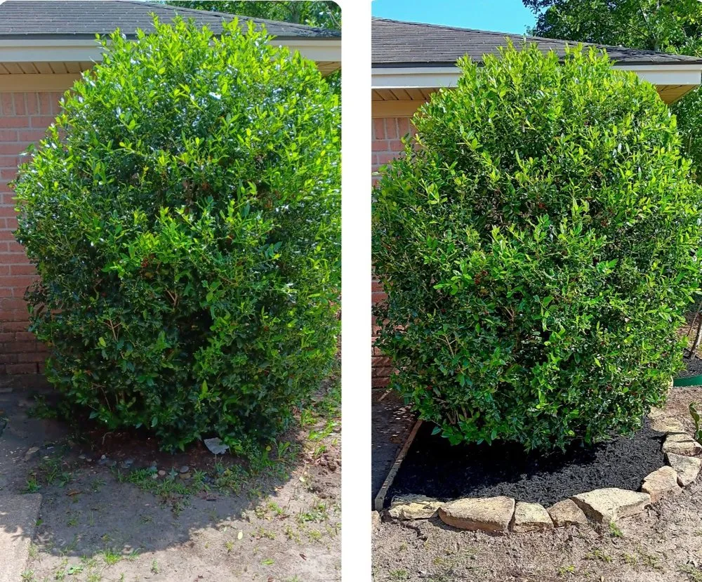 Trusted landscape design with custom design in Spring, TX by ANT Landscaping