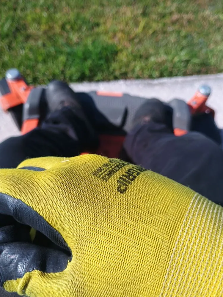 Trusted yard cleanup service experts serving Winter Haven, FL - Ant Lawn & Bikes