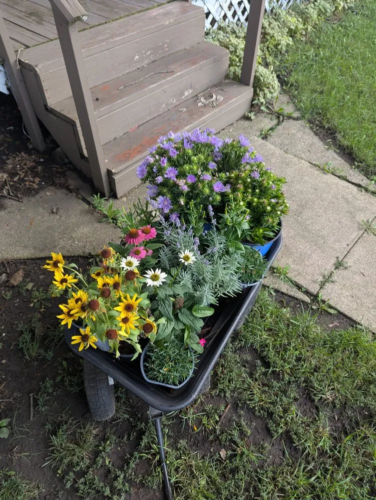 Trusted landscape installation in Monticello, IN by Ant N Ems