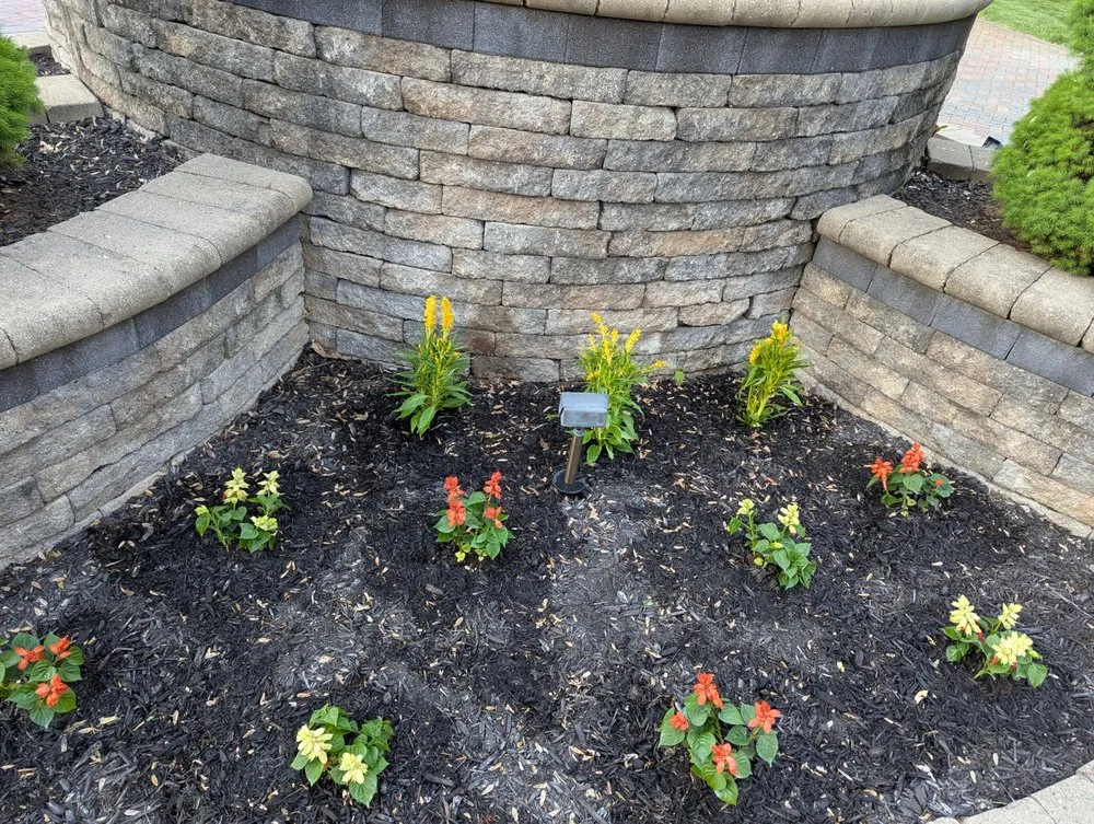 Professional lawn care service near you in Monticello, IN by Ant N Ems