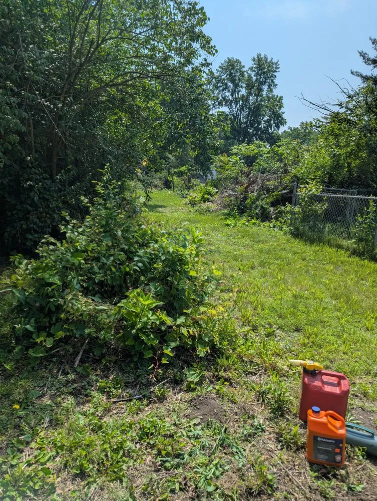 Local residential landscaping for year-round maintenance across Monticello, IN - Ant N Ems