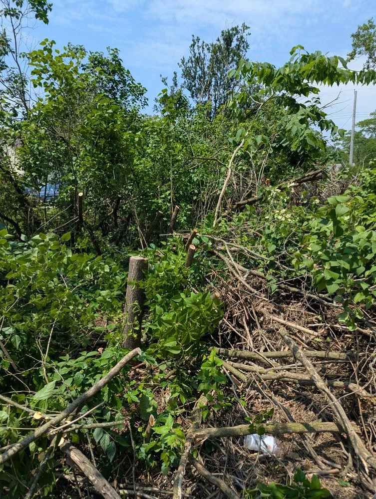 Top-rated outdoor landscaping in Monticello, IN by Ant N Ems