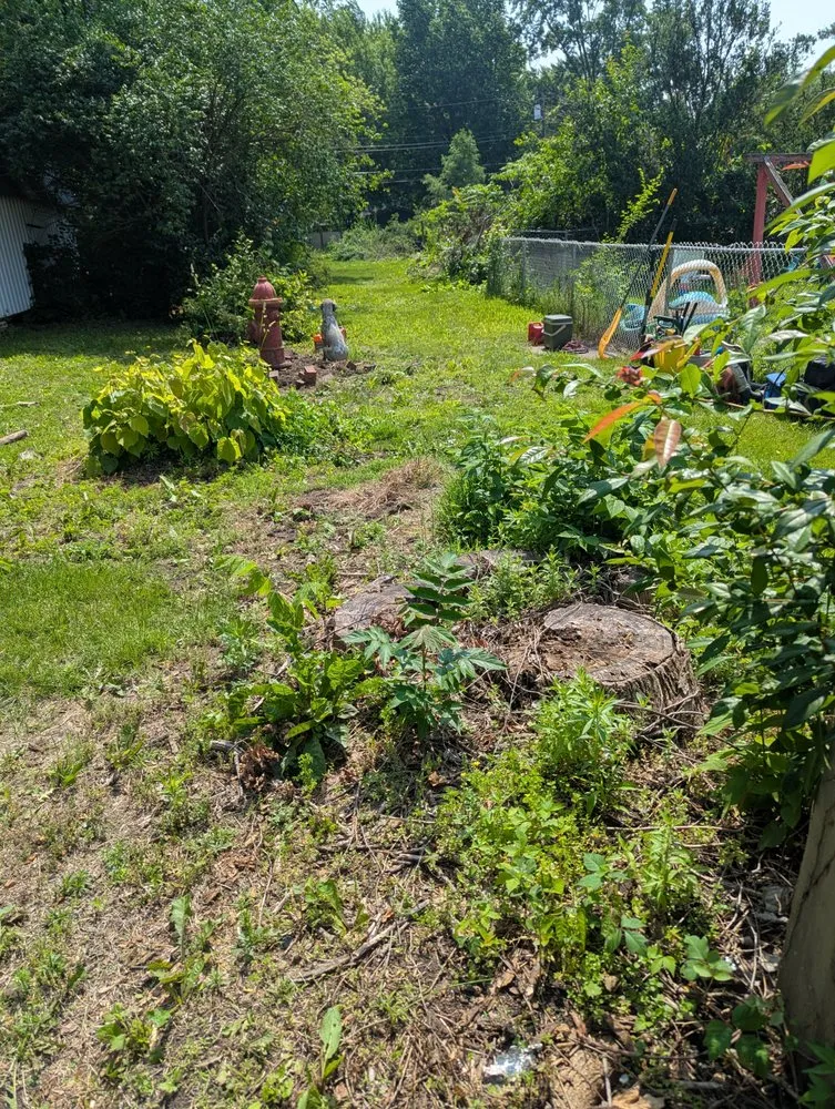 Expert landscaping services in Monticello, IN - Ant N Ems