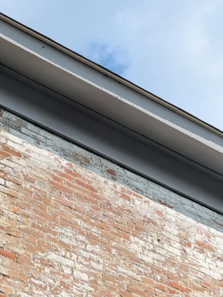 Expert lawn care service in Monticello, IN by Ant N Ems