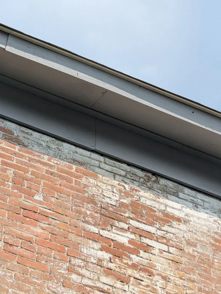 Expert yard maintenance in Monticello, IN - Ant N Ems