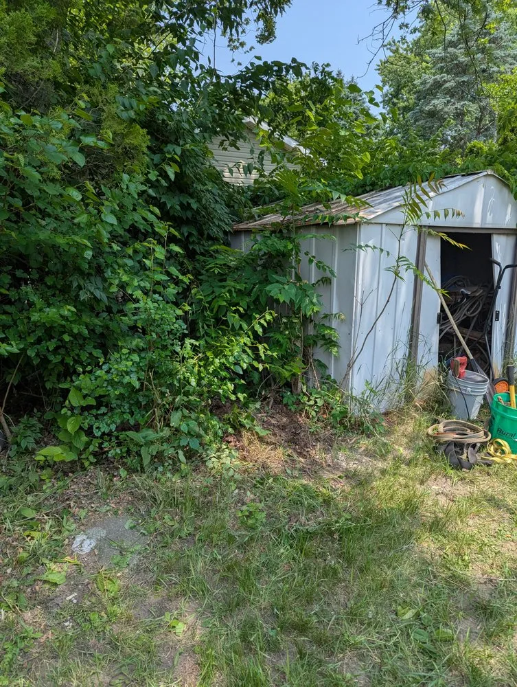 Professional yard maintenance experts serving Monticello, IN - Ant N Ems