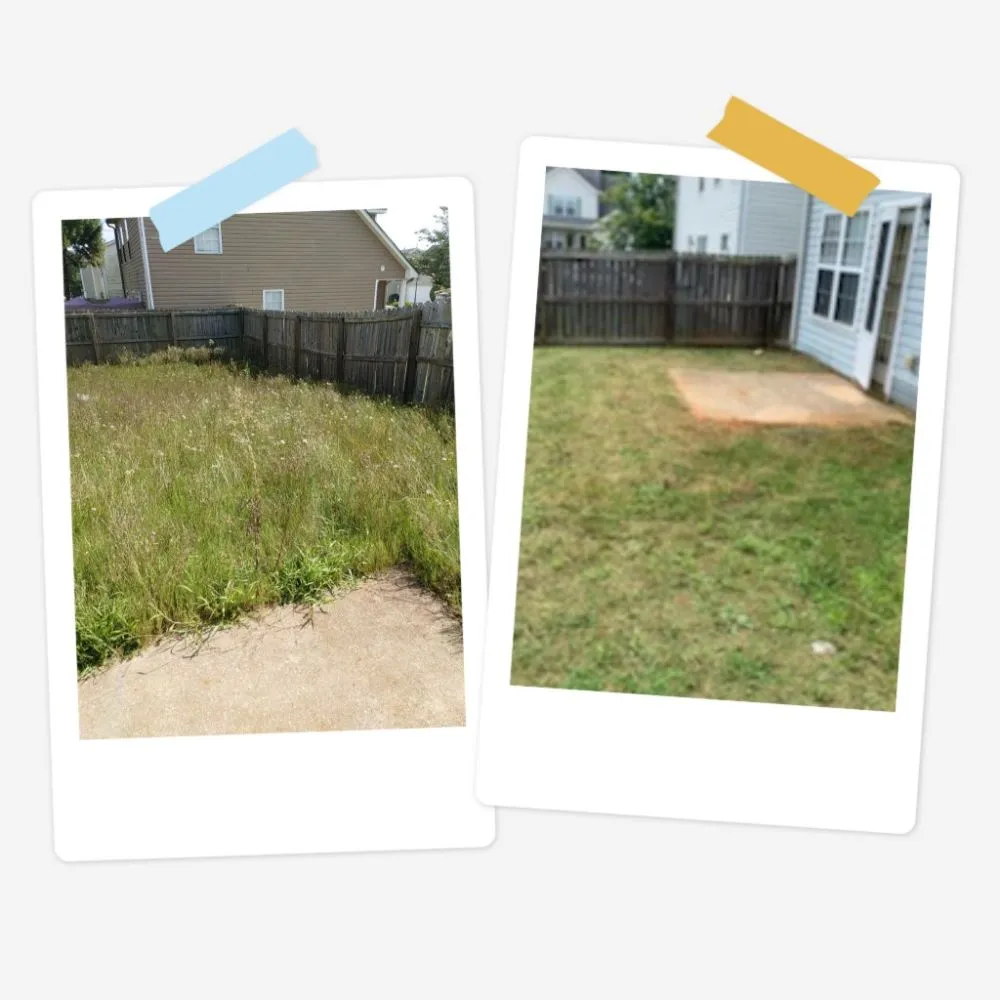 Trusted garden landscaping for year-round maintenance in Lithonia, GA by Antebellum Cleaning And More