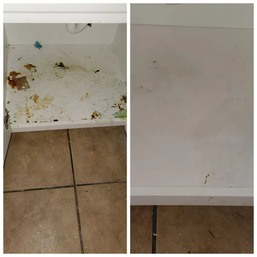 Top-rated landscaping services for outdoor upgrades across Lithonia, GA - Antebellum Cleaning And More