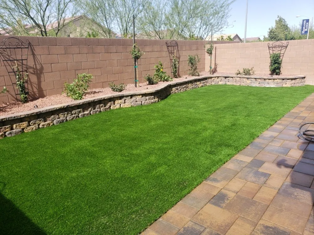 Professional yard maintenance in Henderson, NV - Anthem Landscape & Design